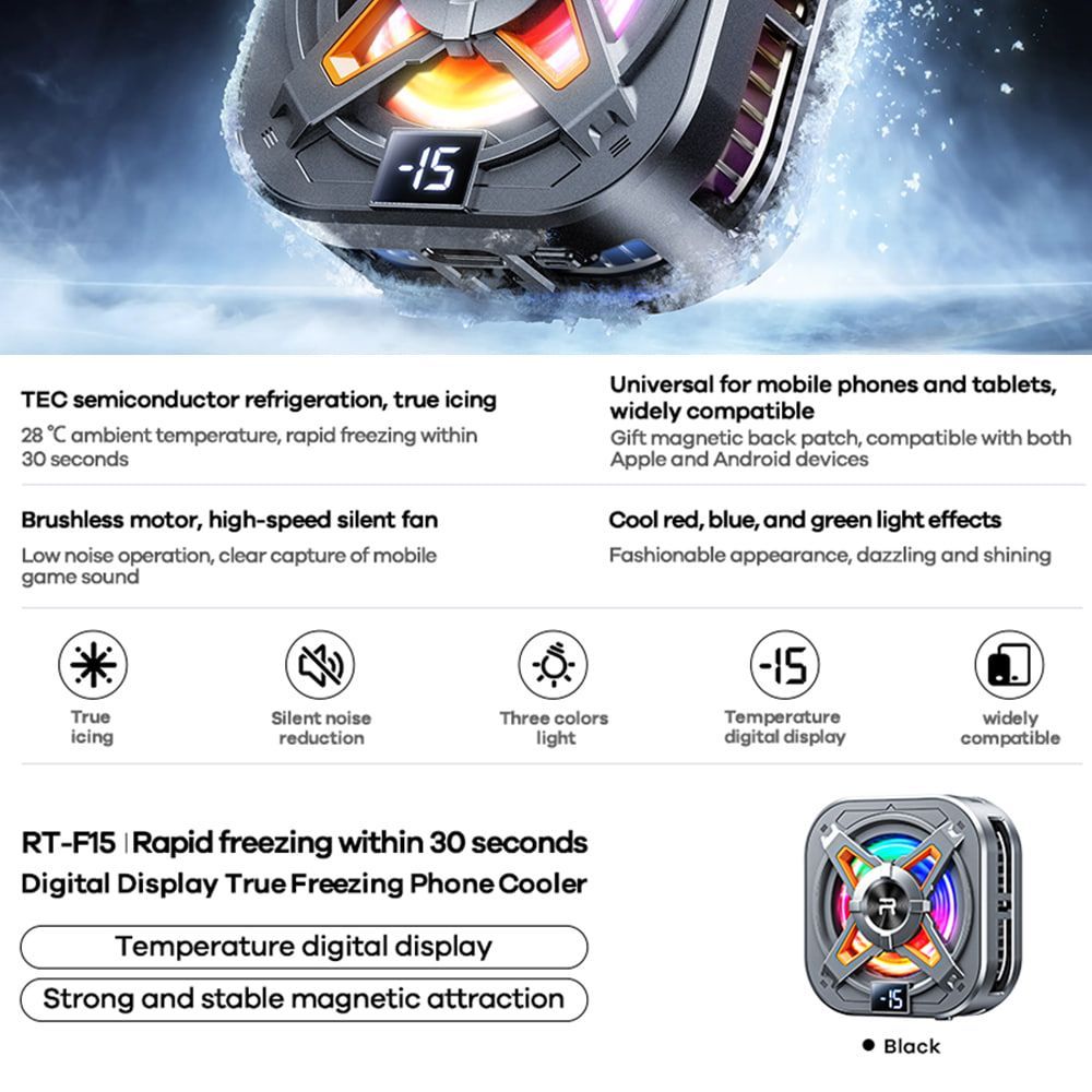 REMAX Digital Display RT-F15