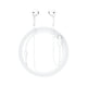 ACEFAST USB-C semi-in-ear wired earphones with mic L13