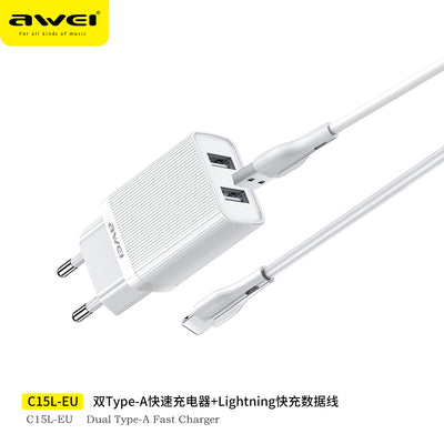 AWEI C15T-US USB-C TO C 10W