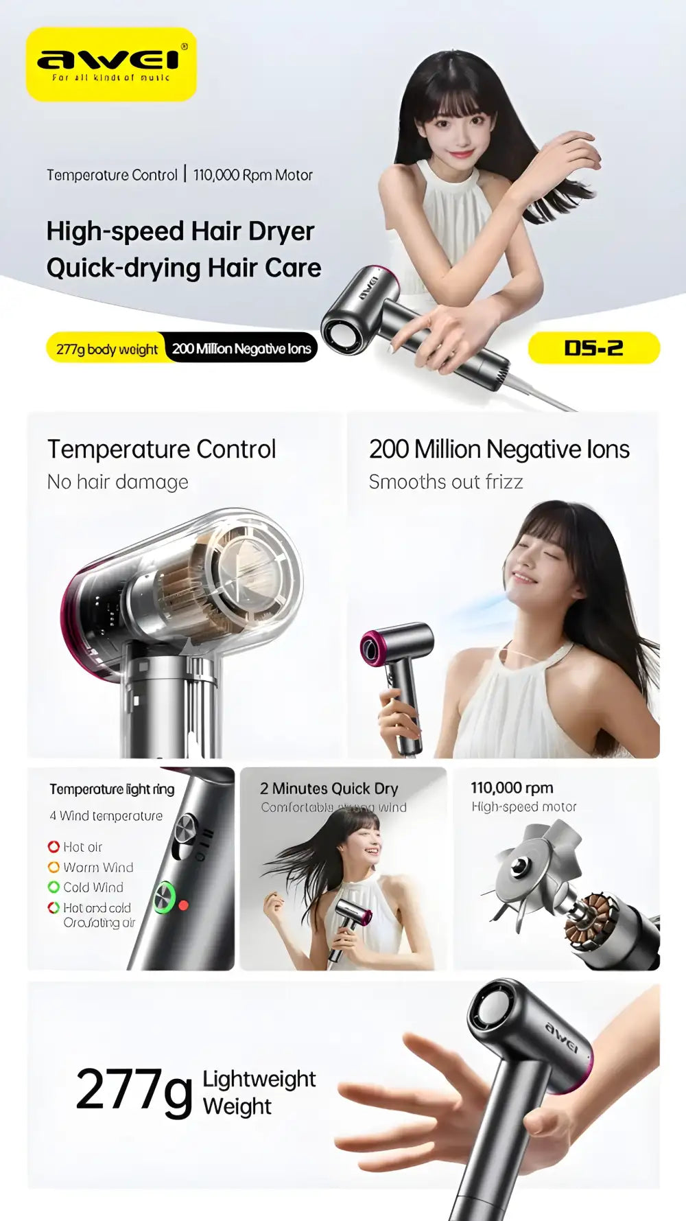 AWEI DS-2 Hair Dryer